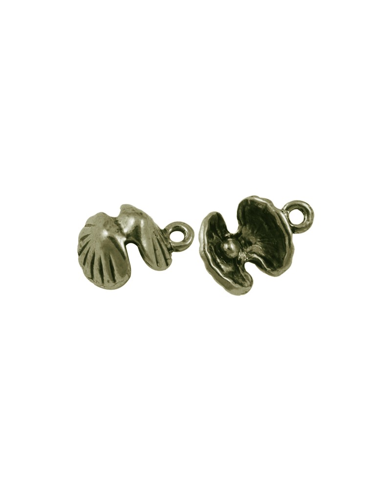x5 coquille st jacques 15x11mm