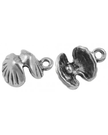 x5 coquille st jacques 15x11mm